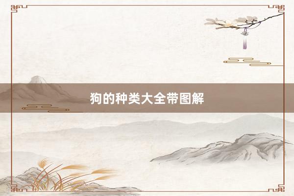 狗的种类大全带图解