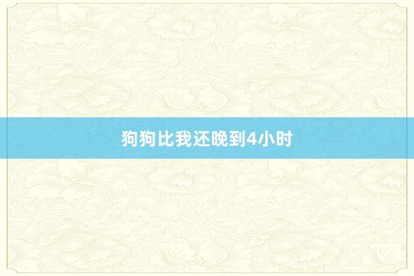 狗狗比我还晚到4小时